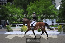 ref. photo 3663120