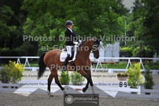 ref. photo 3663129
