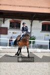 ref. photo 3663142