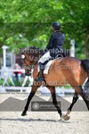 ref. photo 3663155