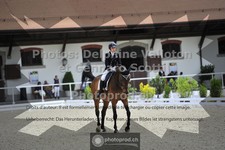 ref. photo 3663166