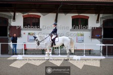 ref. photo 3663197