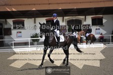 ref. photo 3663297
