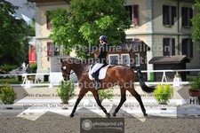 ref. photo 3663327