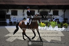 ref. photo 3663334