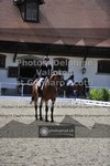 ref. photo 3663339