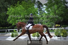 ref. photo 3663371