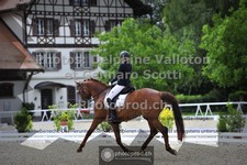 ref. photo 3663372