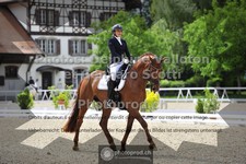 ref. photo 3663376