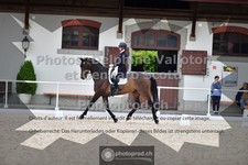 ref. photo 3663393