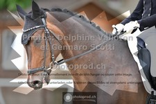 ref. photo 3663406