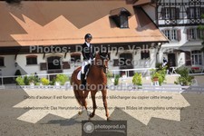 ref. photo 3663426