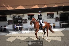 ref. photo 3663434
