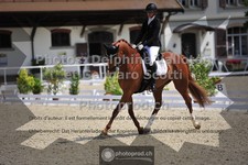 ref. photo 3663441