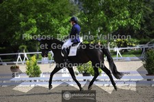 ref. photo 3663450