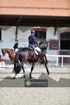 ref. photo 3663500