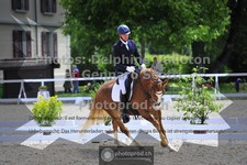 ref. photo 3663509