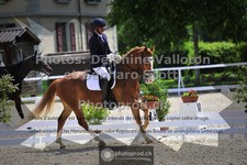 ref. photo 3663524