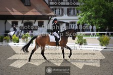 ref. photo 3663598