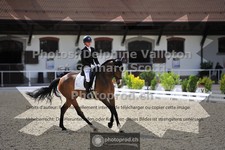 ref. photo 3663600