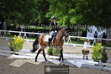 ref. photo 3663603