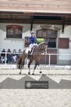 ref. photo 3663624