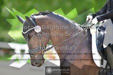 ref. photo 3663647