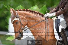 ref. photo 3663782