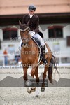 ref. photo 3663791