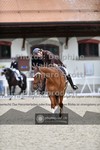 ref. photo 3663795