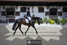 ref. photo 3663804