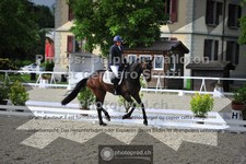 ref. photo 3663812