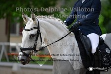 ref. photo 3219896