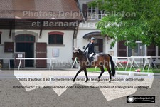 ref. photo 3219915