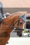 ref. photo 3220009