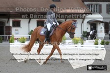 ref. photo 3220016