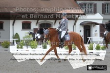ref. photo 3220017