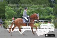 ref. photo 3220021