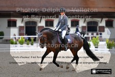 ref. photo 3220036