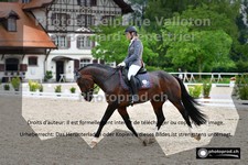 ref. photo 3220038