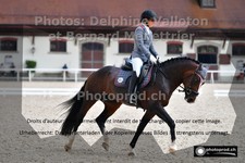 ref. photo 3220095