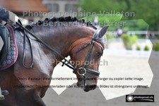 ref. photo 3220097