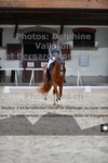 ref. photo 3220106