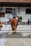 ref. photo 3220113