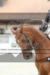 ref. photo 3220164