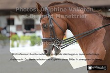ref. photo 3220166