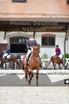 ref. photo 3220179