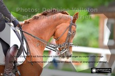 ref. photo 3220202