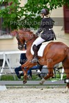 ref. photo 3220209