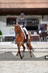 ref. photo 3220218